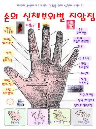 bcd5c0c7_c1f6bed0c1a11_jsan2490.jpg