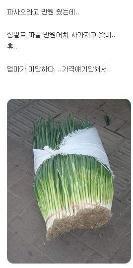 1279171461339_1.jpg
