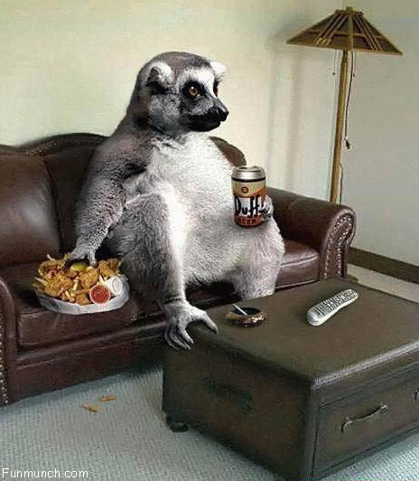 animal_like_people-14081.jpg