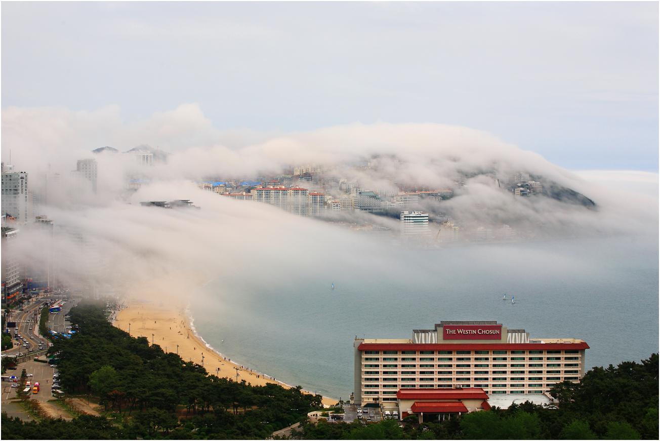 제목 없음.JPG