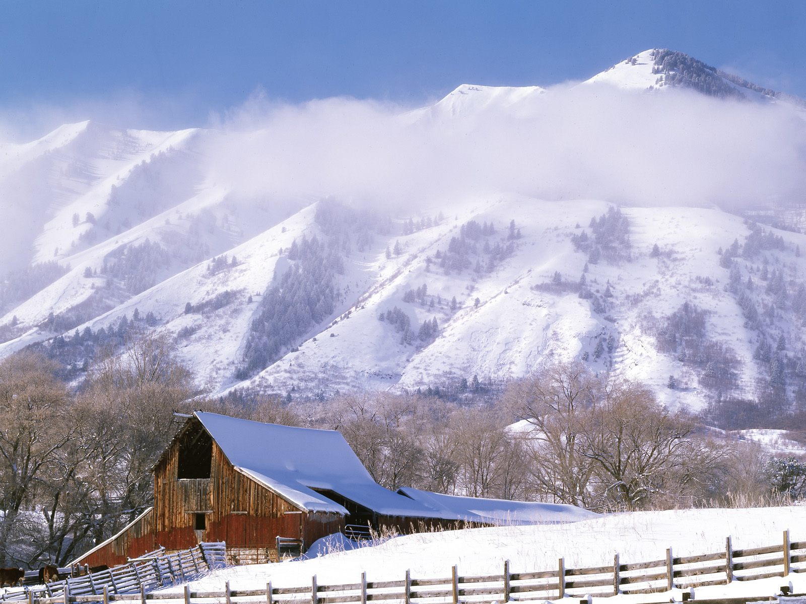 Snowy_Barn.jpg