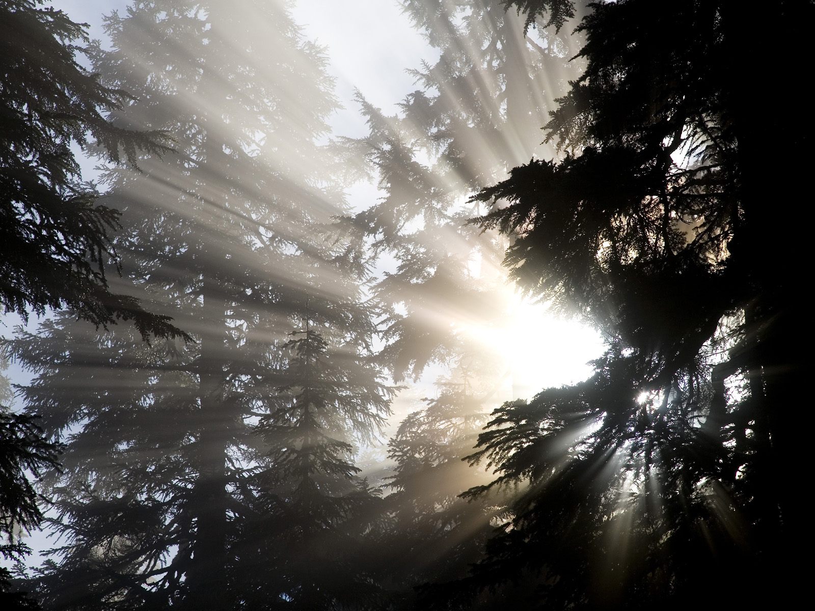 Shafts_of_Light_Mount_Baker-Snoqualmie_National_Forest_Washington.jpg