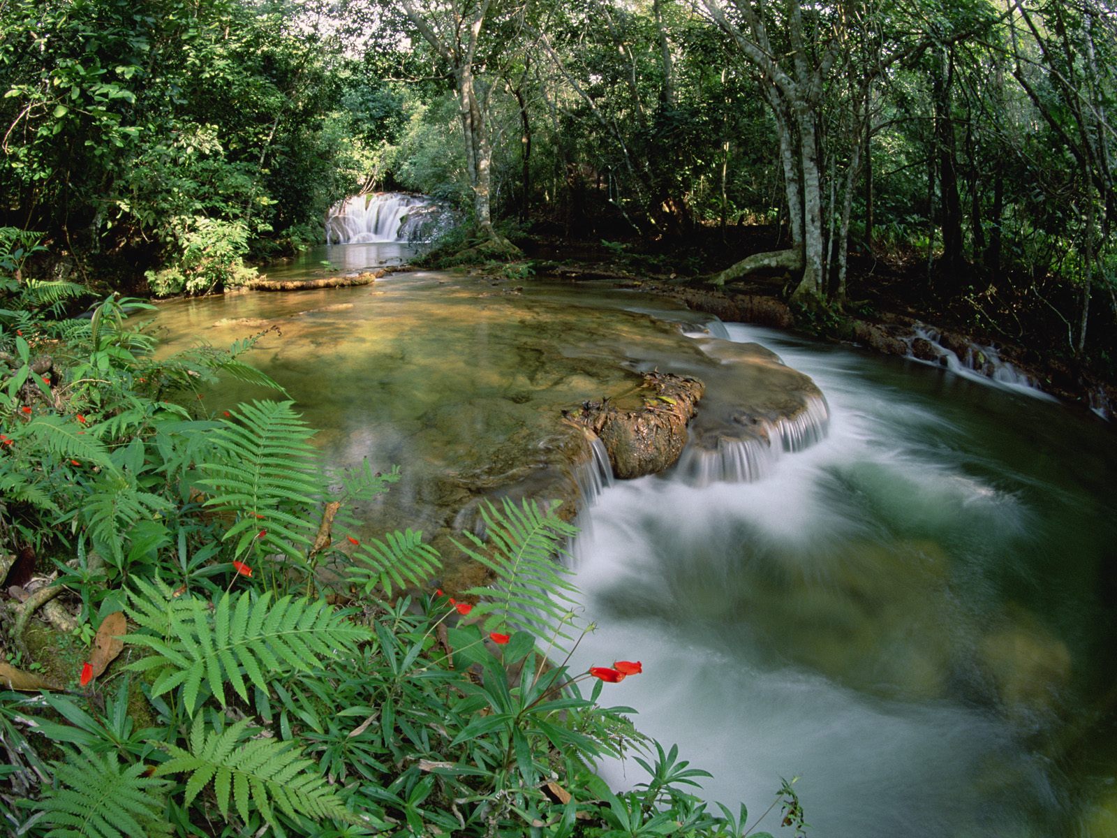 Mato_Grosso_Betione_Serra_de_Bodoquena_Brazil.jpg