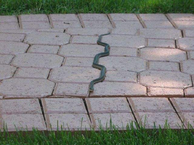 1316683557151_1.jpg