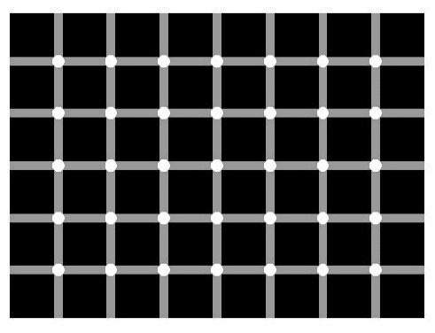 1277906822200_1.jpg