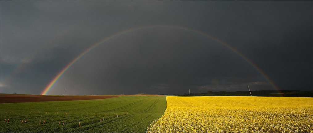 (00).jpg