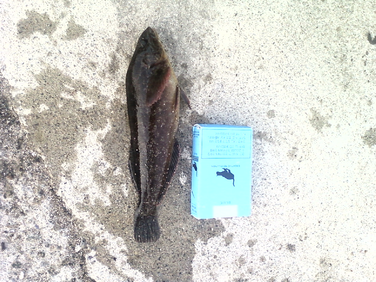 P111113001.jpg