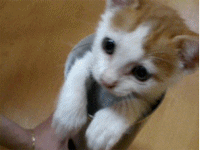 member_1289838789.gif