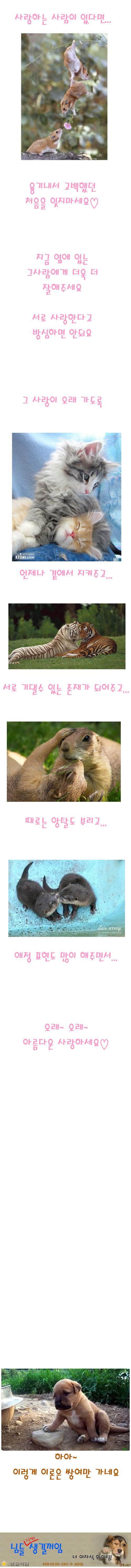 1300692871887_1.jpg