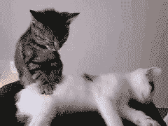 6628711bgw1dhy8nbhrekg.gif