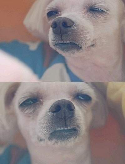 해고.jpg