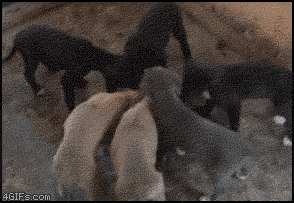 가장 맞있을 때.gif