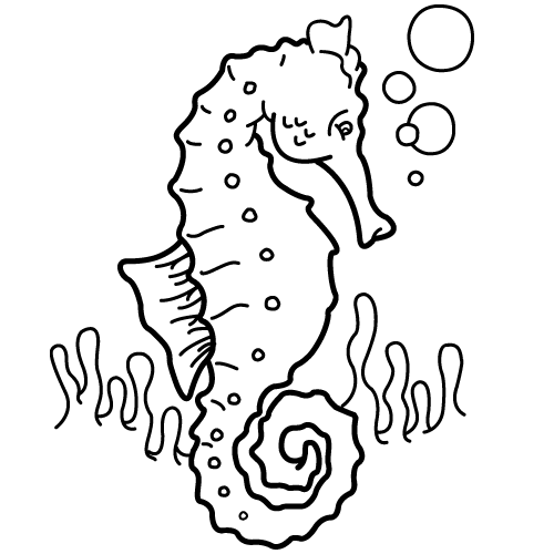 해마.GIF