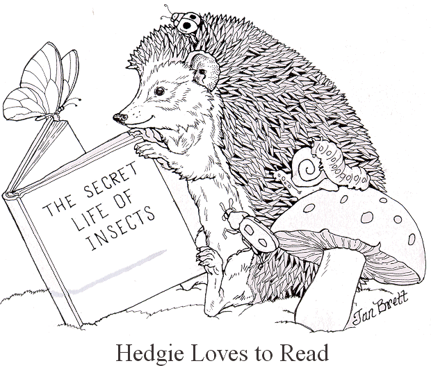hedgie_loves_to_read.gif