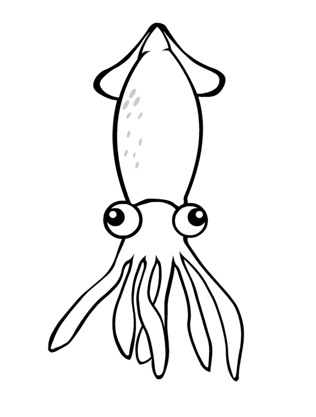 b_cuttlefish.gif